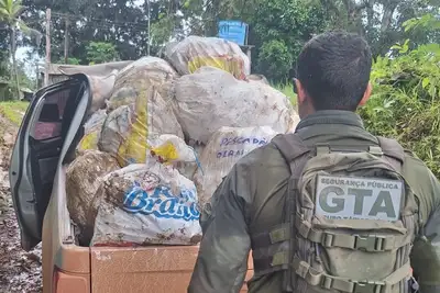 notícia: Governo do Estado desarticula grupo criminoso e recupera carga milionária no litoral do Amapá