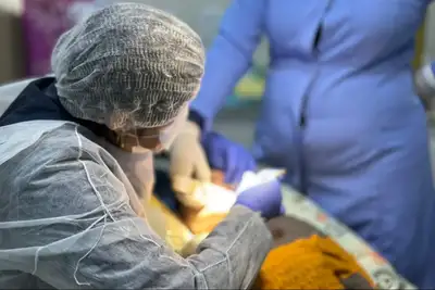 notícia: Novo CEO: mais de 1,6 mil atendimentos devolvem dignidade no acesso à saúde bucal da população do Amapá