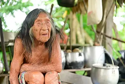 notícia: 'Memória viva': indígena de 102 anos recebe acolhimento em ação de saúde do Governo do Amapá