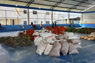 notícia: Governo do Amapá inicia nova etapa do Programa de Aquisição de Alimentos com investimento de R$ 2,9 milhões