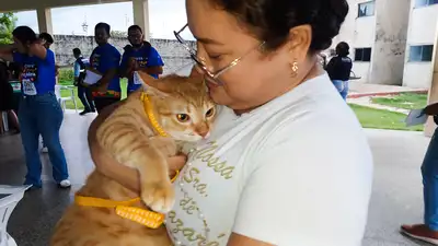 galeria:  I Circuito Pet Habitacional