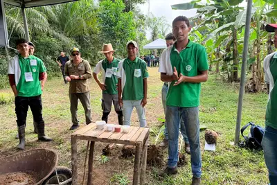 notícia: Governo do Amapá participa de Dia de Campo e fortalece a difusão de tecnologias para a bananicultura no Pacuí