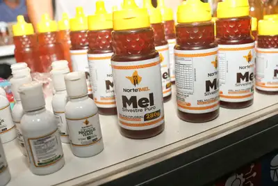 notícia: Empresas do Selo Amapá ganham maior visibilidade na 3ª Feira Internacional de Oiapoque e se tornam vitrines para investidores do Platô das Guianas