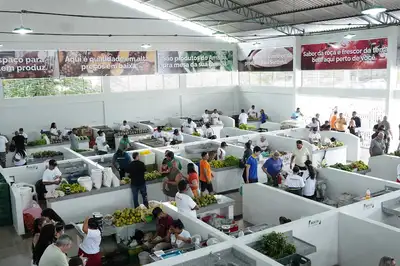 notícia: 'O espaço agora é digno para o nosso trabalho', diz produtor rural que trabalha na Feira do Produtor de Santana há mais de duas décadas