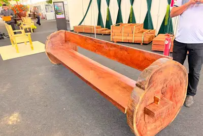 notícia: Expofeira 2026 destaca cadeia produtiva da madeira com manejo florestal sustentável