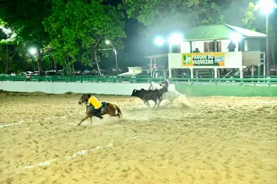 notícia: Vaquejada envolve adrenalina e emoção e ganha destaque na Expofeira 2026.