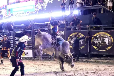 notícia: Dez peões garantem vaga na grande final do rodeio da Expofeira 2026