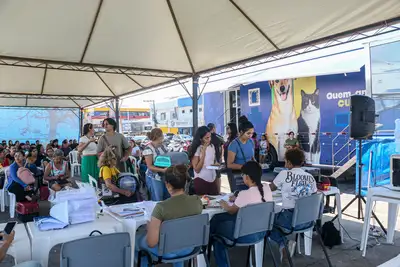 notícia: Governo do Estado e Instituto Golias iniciam mutirão de Castração para os moradores do bairro central 