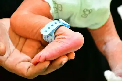 notícia: Governo do Amapá garante assistência para mães e bebês do acolhimento até a alta no Hospital da Mulher