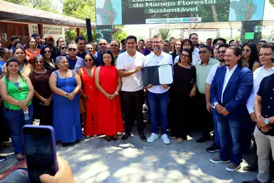 notícia: Governo do Amapá lança edital de concessão florestal com previsão de R$ 1,4 bilhão em investimentos e benefícios socioambientais